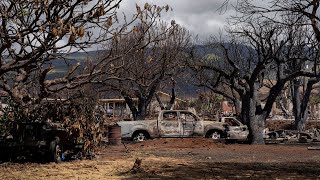 'It's Unrecognizable': Some Lahaina Residents Return To Devastated Homes After Wildfires