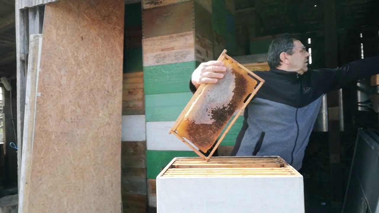 NEMOJTE RAZMJESTATI LEGLA NIKAKO 6.03.2021.