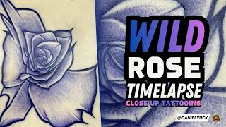 Satisfying Shading & Linework Purple Rose Timelapse