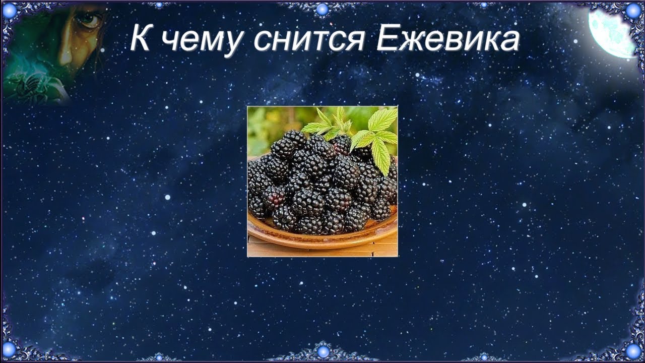 К чему снится Ежевика (Сонник)