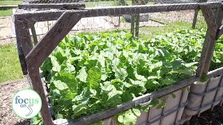 Focus on 5: Edible Flint - Part 1