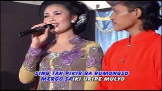 DWI LARAS LORO TRESNO