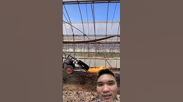 Sử dụng khò ga diệt mầm cỏ #farming