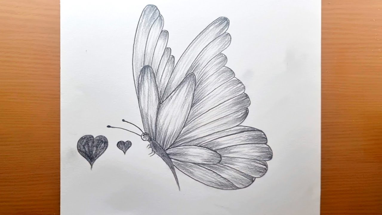Comment dessiner un papillon facile, étape par étape, dessins au crayon