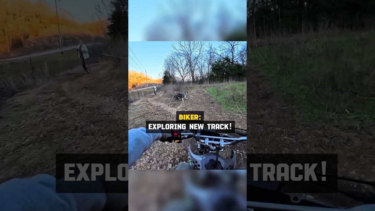 Pitbull Charges Biker — What Happens Next Is Wild🙉