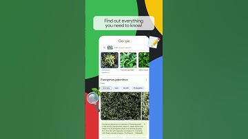 Google Lens is here to help you with your biology research! 🌱