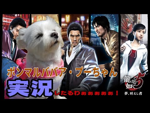 #18 【龍が如く5 夢、叶えし者】3部澤村遥編はじまりました！秋山も登場でございまっす！ 伝説の龍ボコりまくりますオババゲーム実況