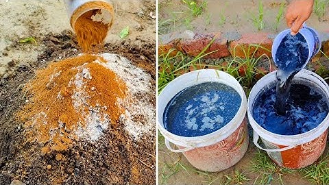 Turn DEAD Soil to Super Microbe-Rich in DAYS! (Ancient, Zero Cost Hack)