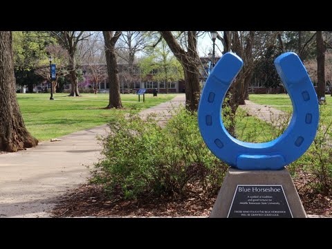 Technology's Impact On The MTSU Campus