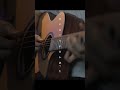 ヨルシカ - 月光浴 / Guitar Cover