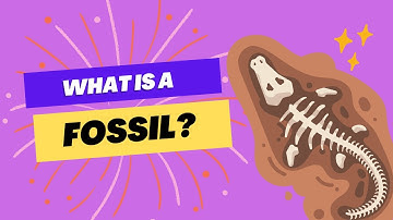 What makes something a fossil? #paleontology #learn #palaeontology