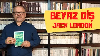 Beyaz Di̇ş Jack London