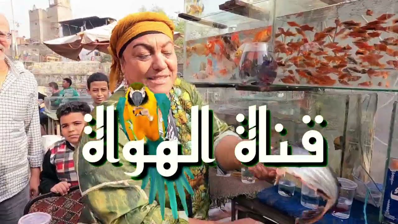 سوق الجمعة في مصر 🇪🇬  القاهرة