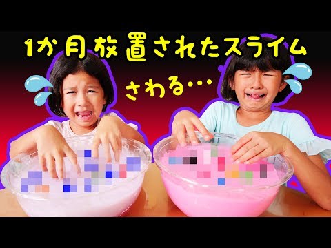 スクイーズの中身で作ったスライム1ヶ月放置したらヤバかった...＞＜himawari-CH