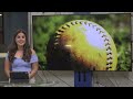 WUFT-TV NEWS First at Five  04/11/25