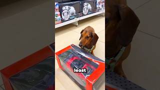 Well, Thats The Case. Lunas Ba