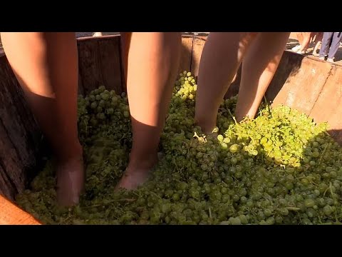 Винный фестиваль в Дилижане