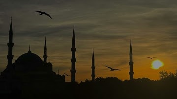 ✨تراويح وقيام الليلة التاسع والعشرون من رمضان ١٤٤٥هـ للقارئ.. (معاذ الزغيبي)