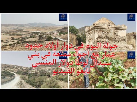 جولة اليوم في دوار أولاد حدود عمار مع أجواء ممتعة في بني سيدال لوطا دولار المنسي تابعو الفيديو 