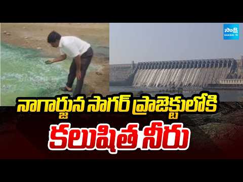 నాగార్జున సాగర్ ప్రాజెక్టులోకి కలుషిత నీరు | Polluted Water In Nagarjuna Sagar Project | Sakshi TV - SAKSHITV