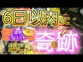 霊界からメッセージ🚪6日以内に起こる奇跡💐霊視鑑定🔮霊視タロットカード、オラクルカード、ルノルマンカードリーディング♡