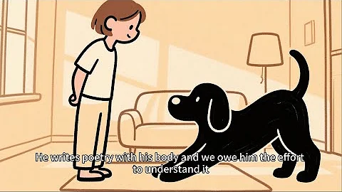 Your Dog Isn’t Just Stretching — They’re Trying to Tell You Something