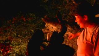 Tree Is For Terror The Abcs Of Death