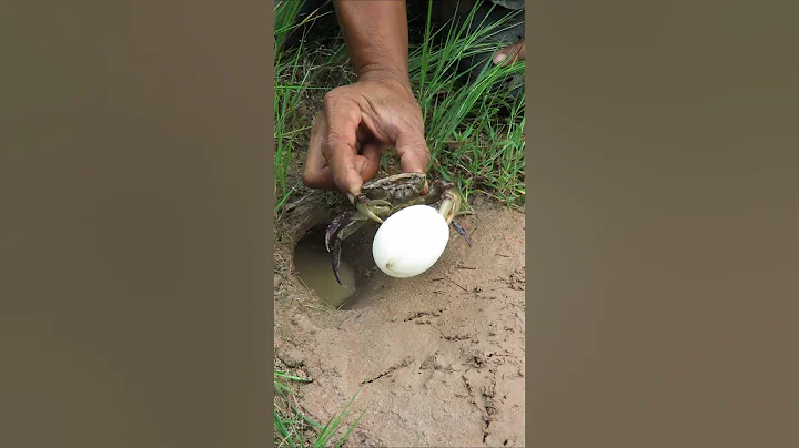 Survival Skills: SIMPLE ideas and USEFUL with CRAB 🦀 #outdoors #survival #bushcraft thumbnail