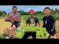 YESか農家チャンネルはじまるよ