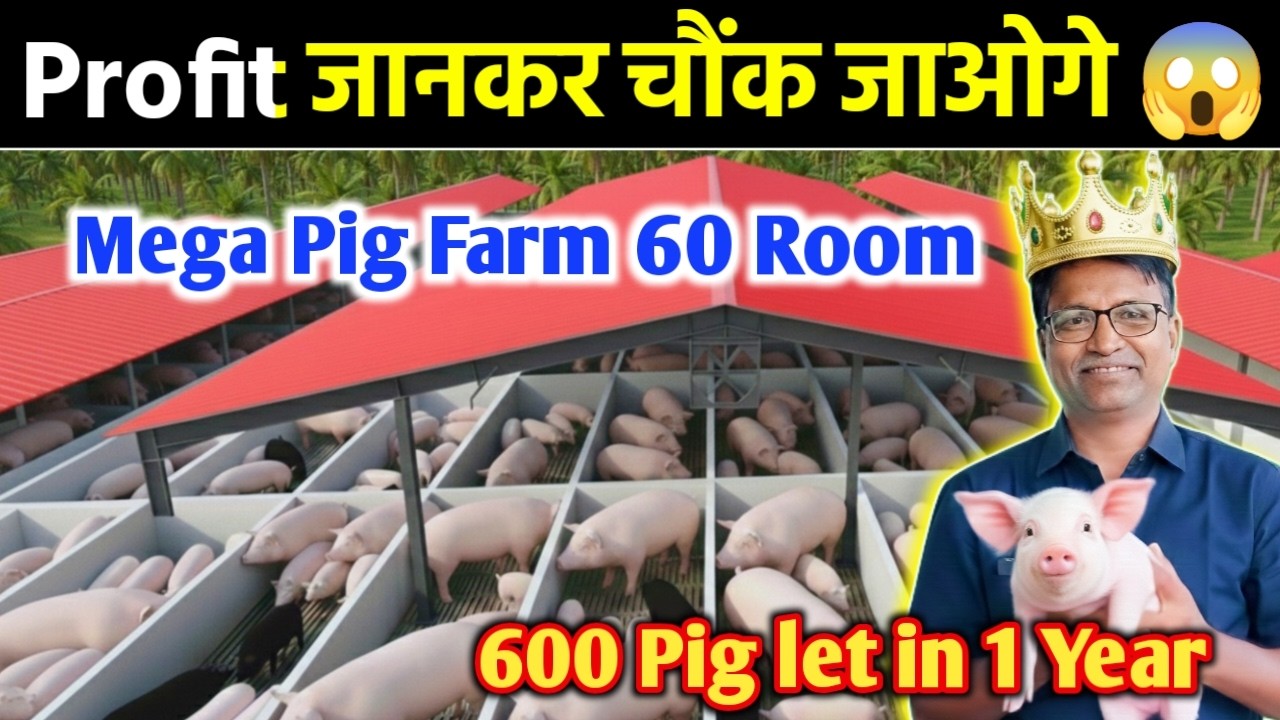 👉Pig Farming India🐷  |Pig Farming Complete A to Z Guide | Feed, Care, Breeding, Profit 📈”