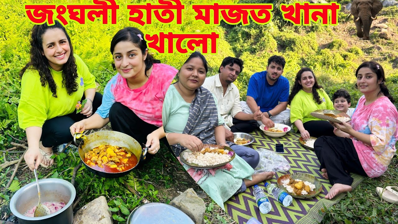 জংঘলী হাতী মাজত খানা খালো 😱 || Jungle Mein Mungle 🐘 || Tasty lunch korilu 😋 || Moiaruamar_tales ||