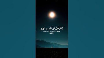 اكتب شيء تؤجر عليه🤍 #سورة_إبراهيم