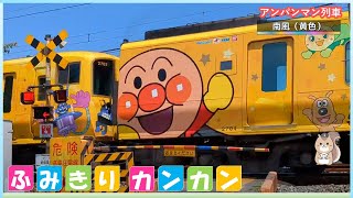 【ふみきりす】アンパンマン列車「南風（黄色）」 子供たちが喜ぶ♪【踏切カンカン♪】Anpanman train passes the railroad crossing