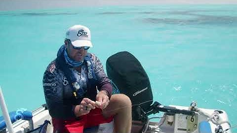 SQUID ON A SINGLE HOOK