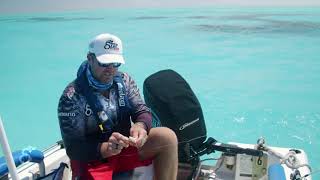 SQUID ON A SINGLE HOOK