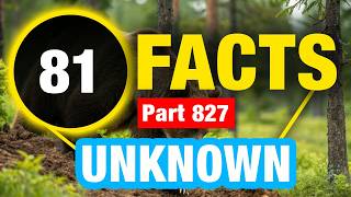81 Amazing Mind Blowing Facts | Incredible Weird Facts