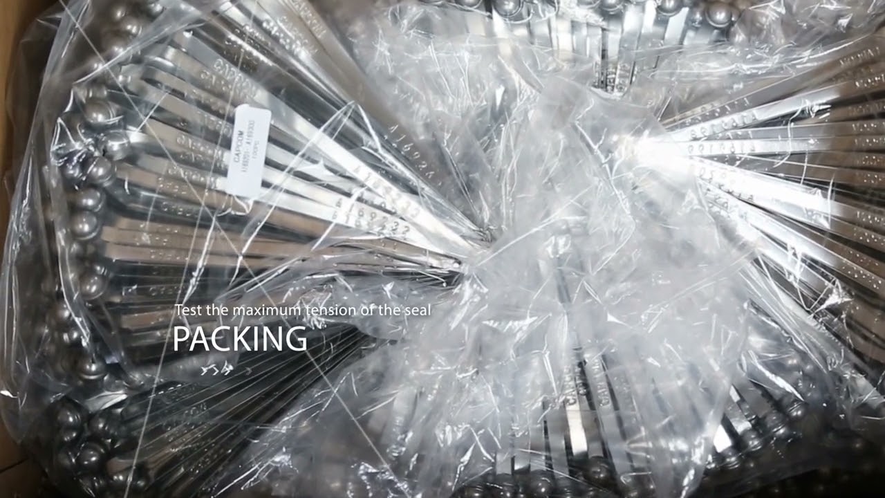 High Security Strap Seals