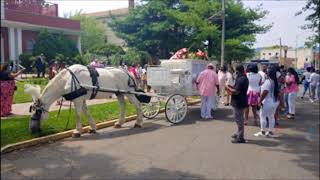 Horse Drawn Hearse from Cotton Funeral Home Orange to Fairmont Cemetery Newark NJ aug 6 2020