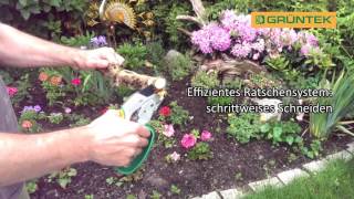 Gartenschere EULE Ratschet Garden pruner OWL Shears Cesoie Forbici da giardino GUFO