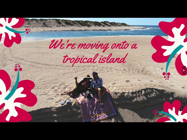 We’re moving onto a tropical island… while waiting for Cozzy’s CANCER liver OP