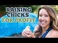 I Earned an EXTRA $2500 in 8 Weeks by doing this ONE thing - How to Raise Meat Birds for Profit