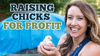 I Earned an EXTRA $2500 in 8 Weeks by doing this ONE thing  How to Raise Meat Birds for Profit