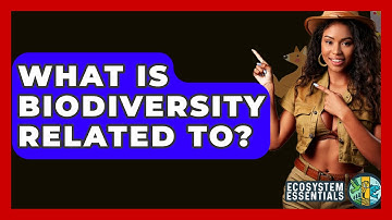 What Is Biodiversity Related To? - Ecosystem Essentials