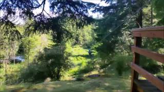 zip line in San Juan Island