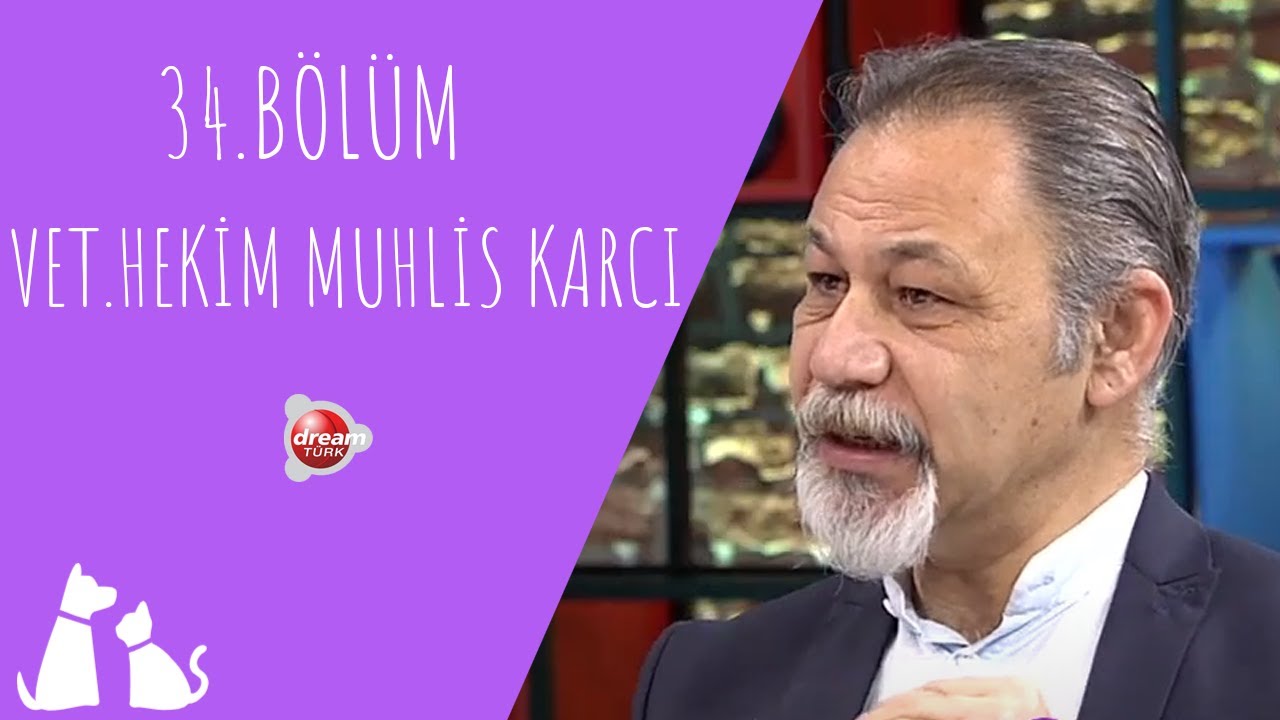 Evcil Hayvanlarda Hipotiroidi | ÇOK YAŞA CAN DOSTUM