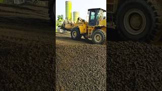 Crasherबल Doddzer