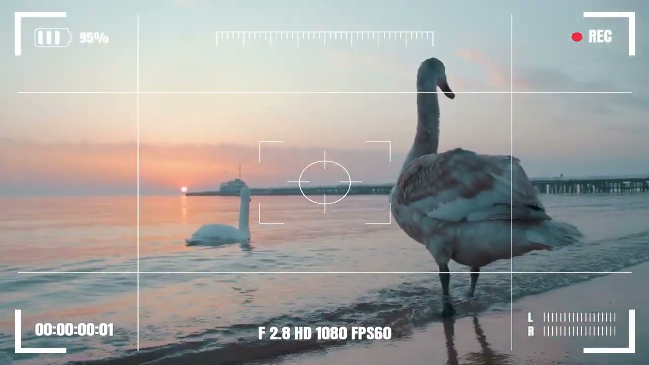 ÉXITOS CON BANDA LA MEJOR 