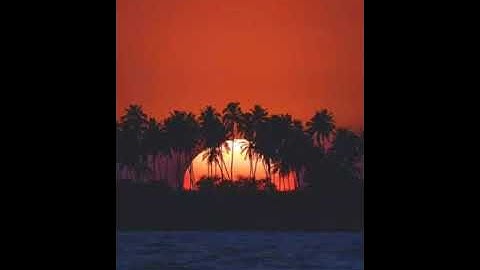 ابداع القارئ وديع اليمني " ان تقول نفس يا حسرتا علي مافرطت في جنب الله "