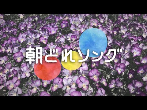 「水はうたいます」「ひびかせうた」こんにゃく座 - 朝どれソング2019年5月