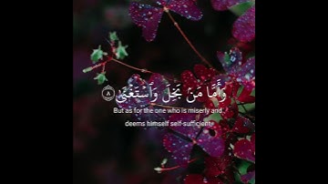 قران كريم ايات من الذكر الحكيم سورة الليل بصوت الشيخ ماهر المعيقلي